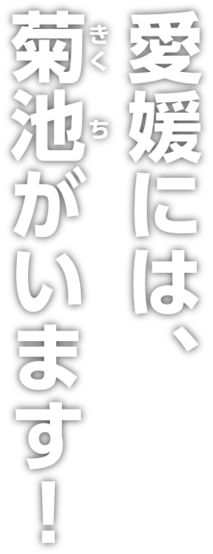 愛媛には、菊池がいます！