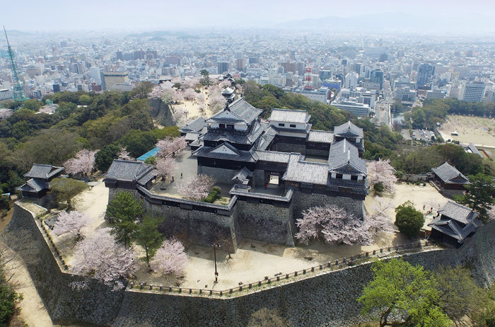 世界に誇れる愛媛県を目指す。