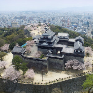 世界に誇れる愛媛県を目指す。